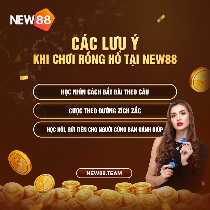 Các lưu ý khi chơi Rồng Hổ tại New88